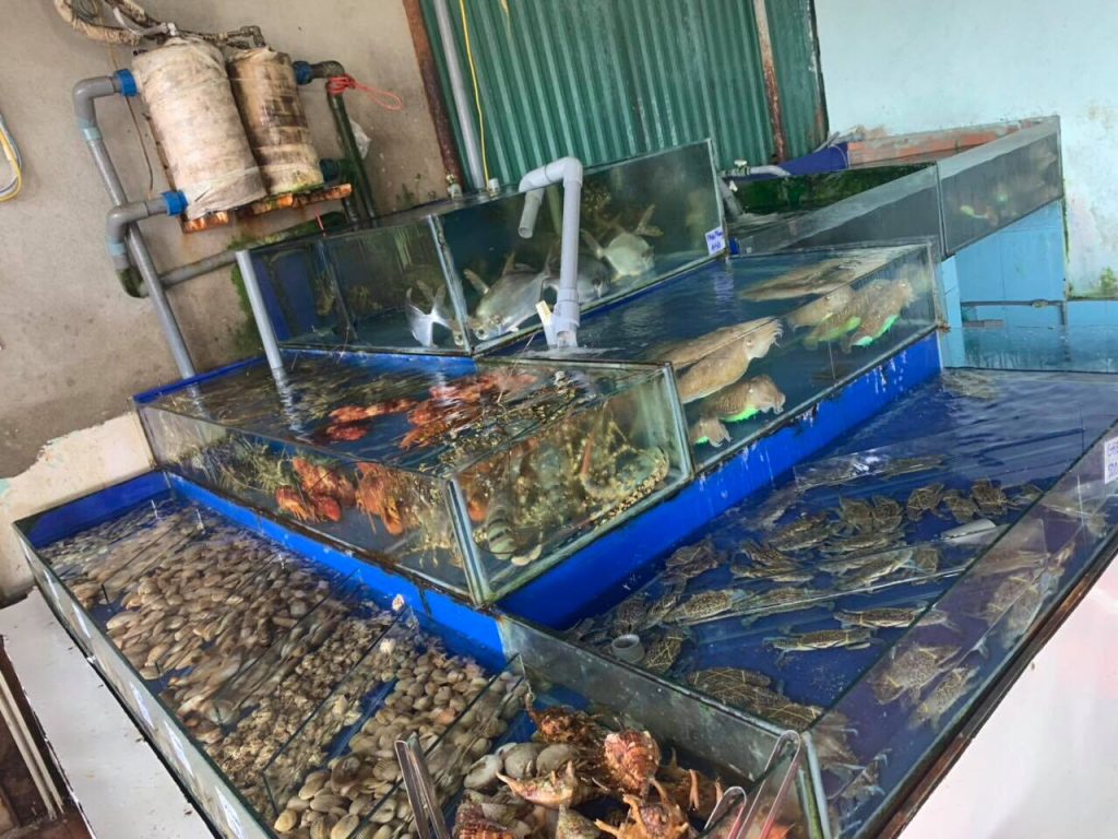 Quán hải sản Nha Trang