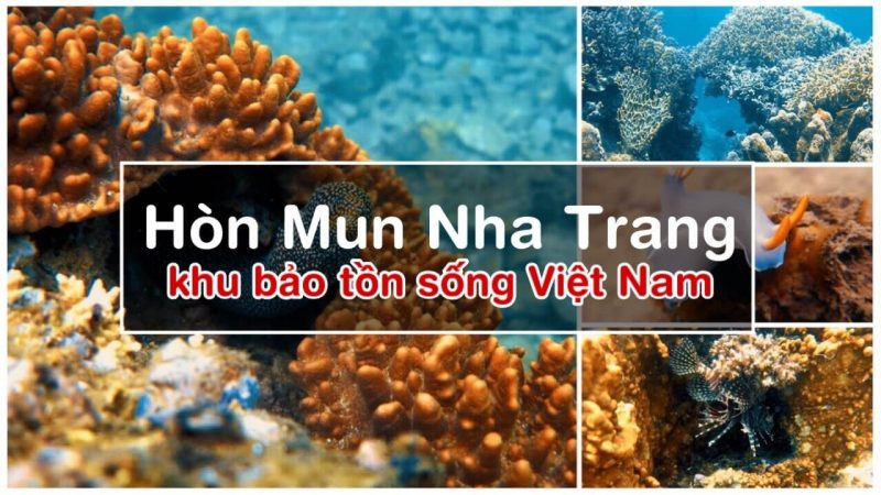 Tour lặn biển hòn Mun hòn Một Nha Trang