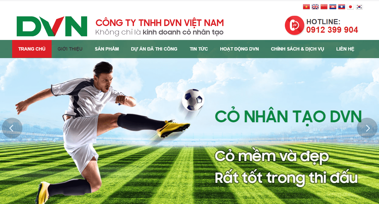 Đơn vị cung cấp cỏ nhân tạo sân bóng Bắc Ninh 1