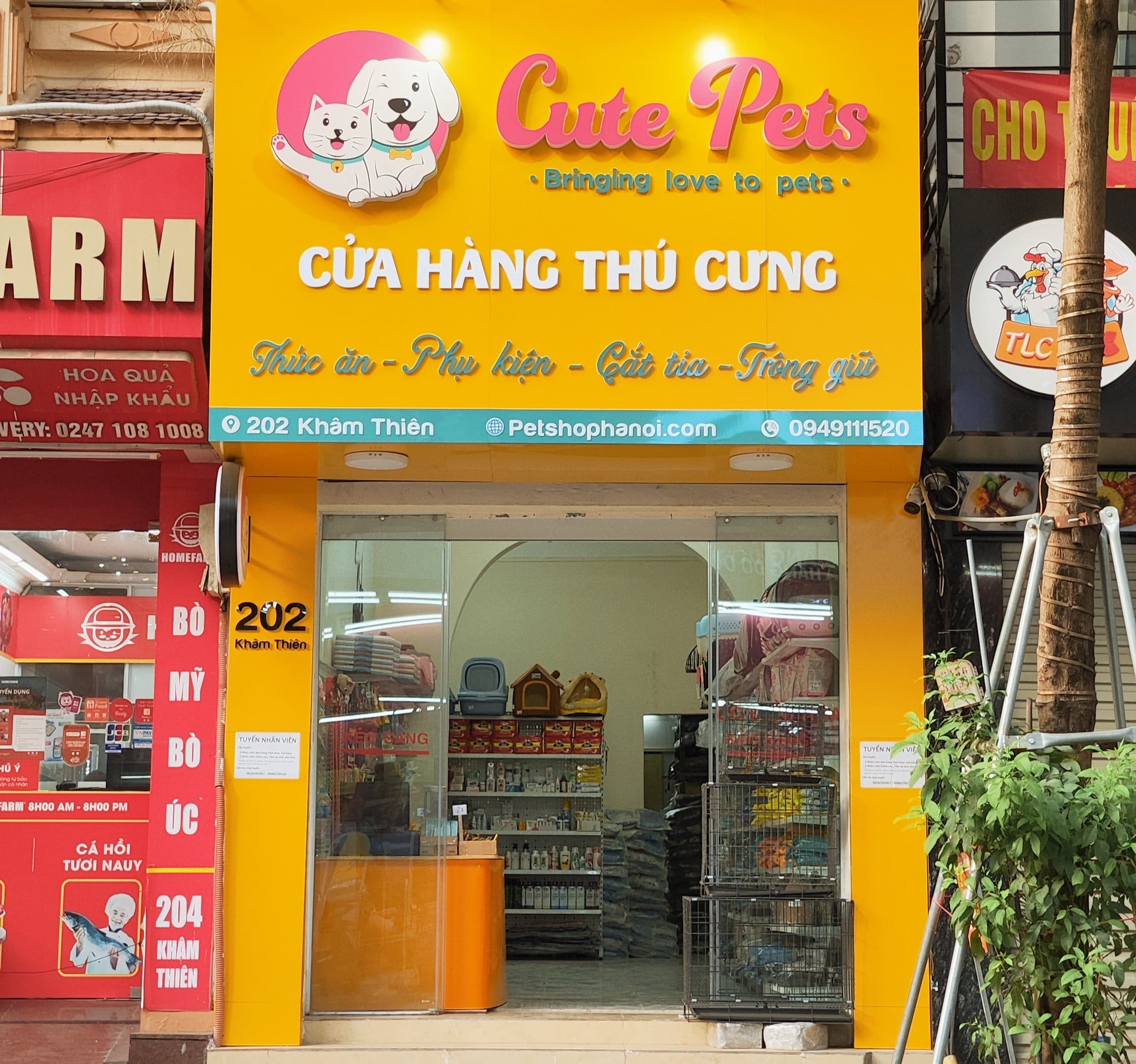 Cutepets - Cửa Hàng Thú Cưng Uy Tín Tại Hà Nội