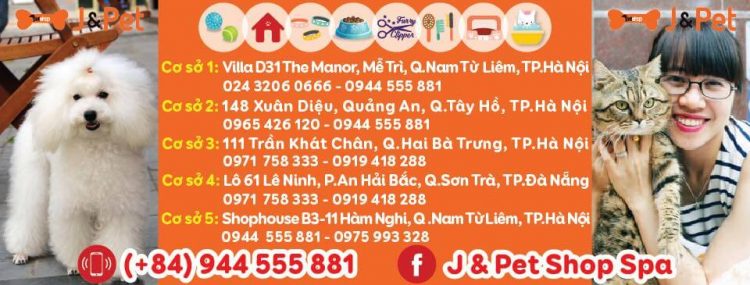 J & Pet Shop - Nơi Cung Cấp Dịch Vụ Thú Cưng Uy Tín Hà Nội
