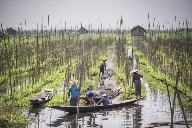 du lịch hồ inle myanmar