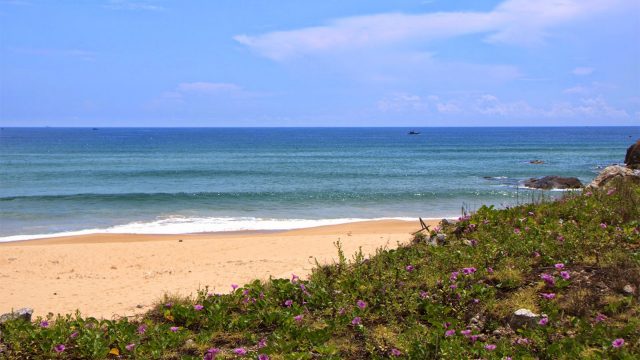 Du Lịch Phú Yên