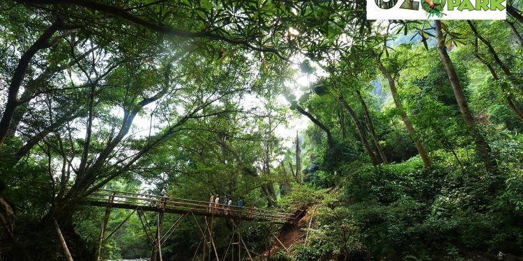 Ozo Treetop- Vui Chơi Giải Trí ở Quảng Bình