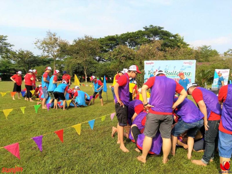 Công Ty Tổ Chức Team Building Tại TP Hồ Chí Minh