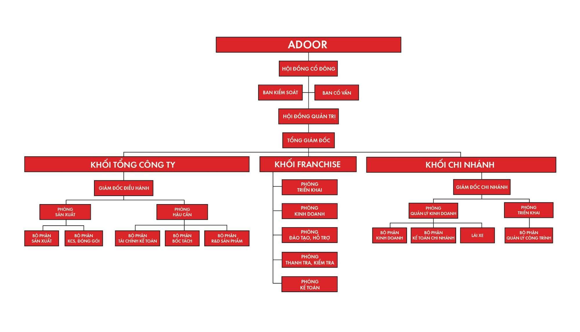 Cơ cấu tổ chức của Adoor rõ ràng và thống nhất