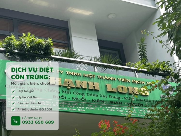 dịch vụ TPHCM đảm bảo