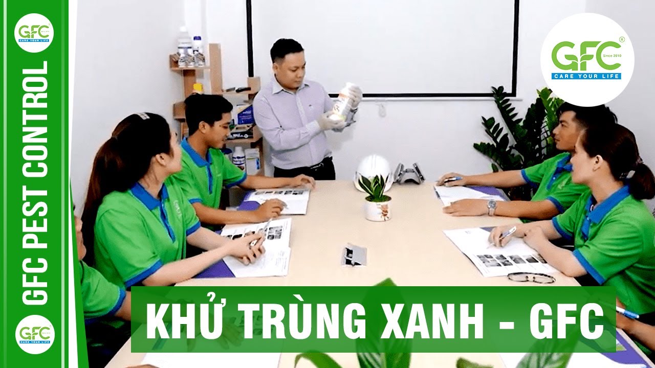 dịch vụ diệt chuột tại đà nẵng