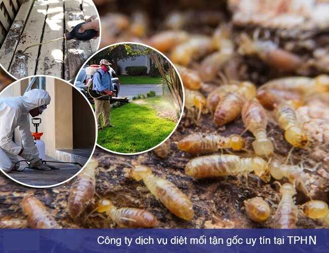 Công Ty Thương Mại Và Dịch Vụ Bình Đan