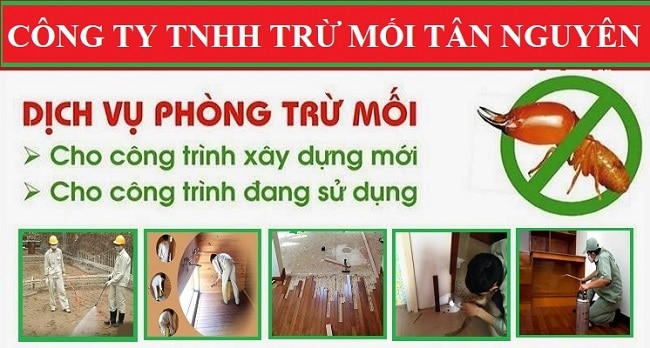 Công ty Tân Nguyên