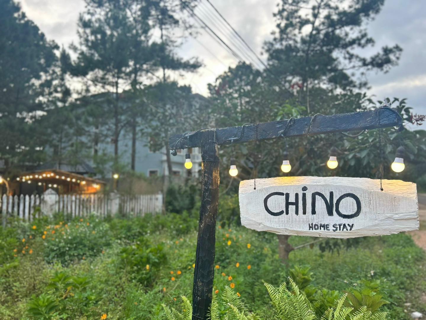 Chino Homestay